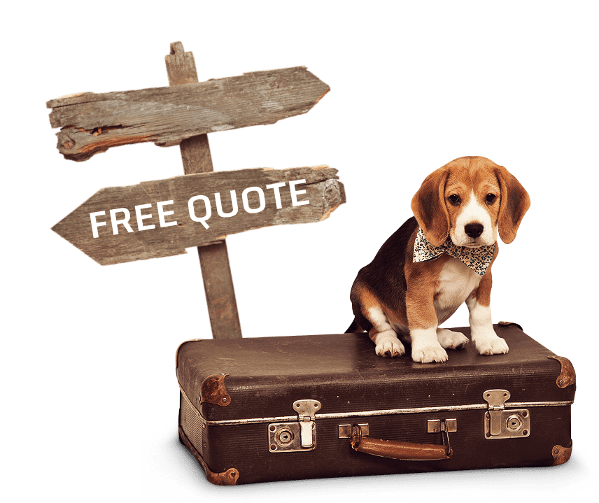 Pet transportation and relocation services across Canada
